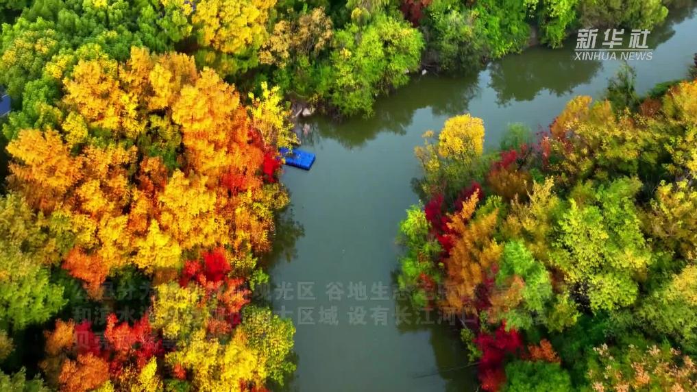 满目皆景 打卡上海吴淞炮台湾国家湿地公园