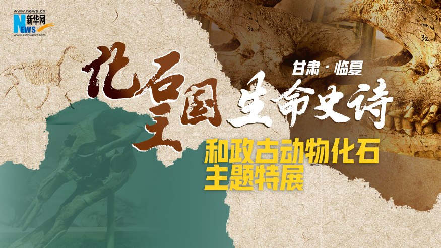 和政古动物化石主题特展（深圳站）1月24日在深圳美术馆举行