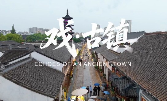 【来松江，就放松】戏·古镇丨龙舟皮影粽飘香，邂逅千年水乡韵味